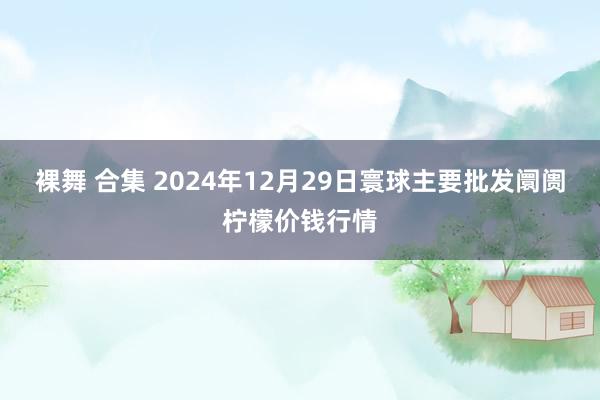 裸舞 合集 2024年12月29日寰球主要批发阛阓柠檬价钱行情