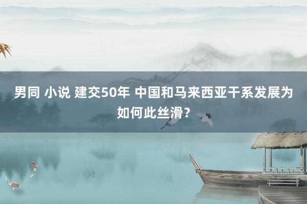 男同 小说 建交50年 中国和马来西亚干系发展为如何此丝滑？