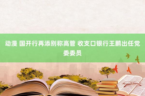 动漫 国开行再添别称高管 收支口银行王鹏出任党委委员