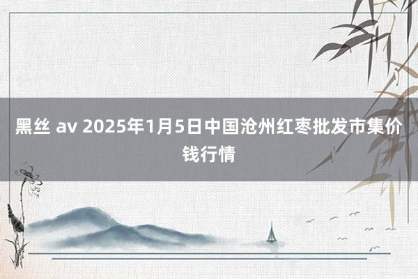 黑丝 av 2025年1月5日中国沧州红枣批发市集价钱行情