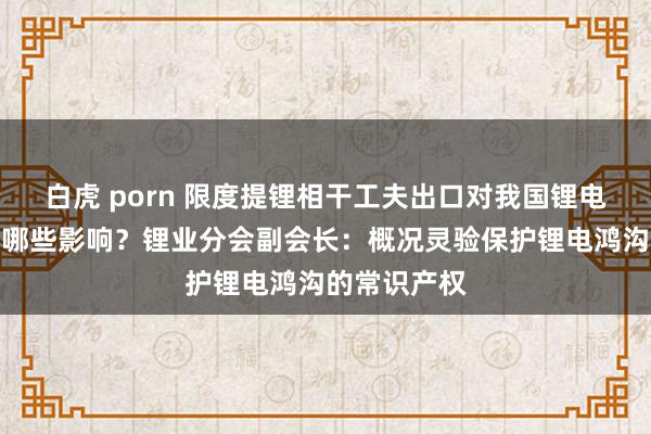 白虎 porn 限度提锂相干工夫出口对我国锂电产业发展有哪些影响？锂业分会副会长：概况灵验保护锂电鸿沟的常识产权