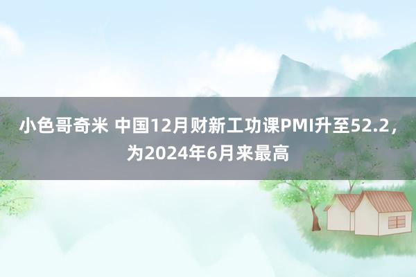 小色哥奇米 中国12月财新工功课PMI升至52.2，为2024年6月来最高