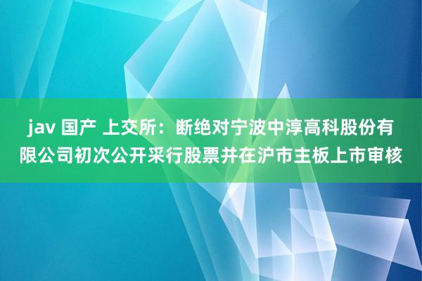 jav 国产 上交所：断绝对宁波中淳高科股份有限公司初次公开采行股票并在沪市主板上市审核