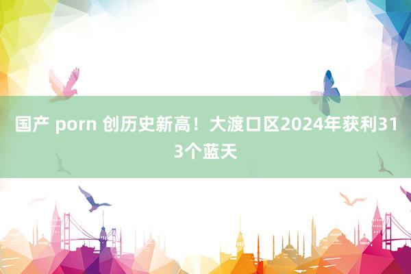 国产 porn 创历史新高！大渡口区2024年获利313个蓝天