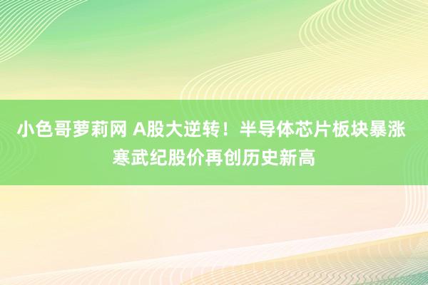 小色哥萝莉网 A股大逆转！半导体芯片板块暴涨 寒武纪股价再创历史新高