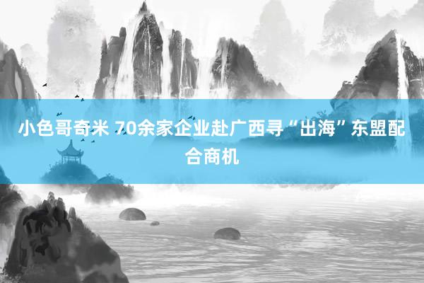 小色哥奇米 70余家企业赴广西寻“出海”东盟配合商机