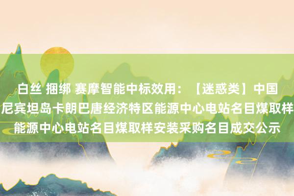 白丝 捆绑 赛摩智能中标效用：【迷惑类】中国电建山东电建一公司印尼宾坦岛卡朗巴唐经济特区能源中心电站名目煤取样安装采购名目成交公示