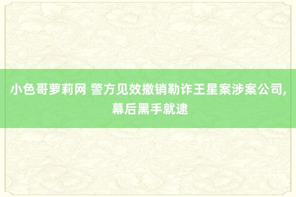 小色哥萝莉网 警方见效撤销勒诈王星案涉案公司， 幕后黑手就逮