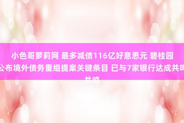 小色哥萝莉网 最多减债116亿好意思元 碧桂园公布境外债务重组提案关键条目 已与7家银行达成共鸣