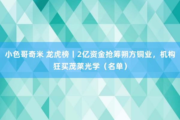 小色哥奇米 龙虎榜丨2亿资金抢筹朔方铜业，机构狂买茂莱光学（名单）