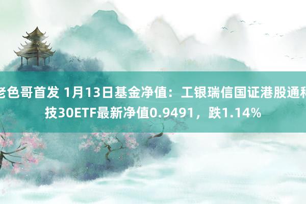 老色哥首发 1月13日基金净值：工银瑞信国证港股通科技30ETF最新净值0.9491，跌1.14%