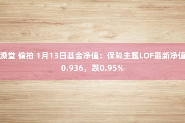 澡堂 偷拍 1月13日基金净值：保障主题LOF最新净值0.936，跌0.95%