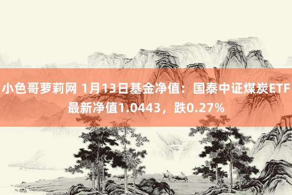 小色哥萝莉网 1月13日基金净值：国泰中证煤炭ETF最新净值1.0443，跌0.27%