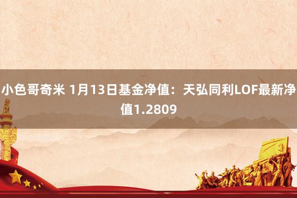 小色哥奇米 1月13日基金净值：天弘同利LOF最新净值1.2809