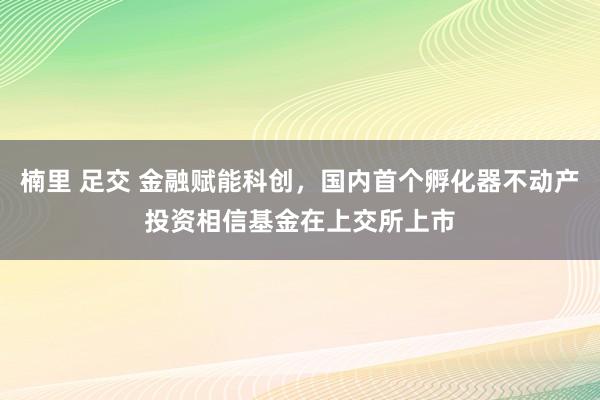 楠里 足交 金融赋能科创，国内首个孵化器不动产投资相信基金在上交所上市