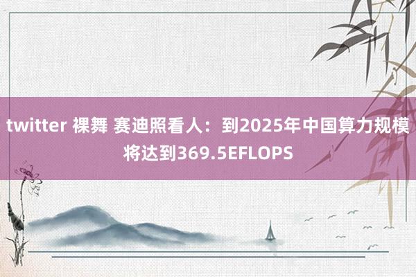 twitter 裸舞 赛迪照看人：到2025年中国算力规模将达到369.5EFLOPS