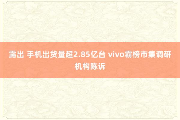 露出 手机出货量超2.85亿台 vivo霸榜市集调研机构陈诉