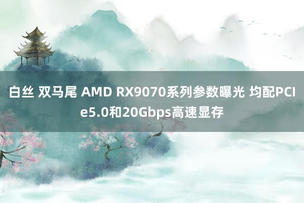 白丝 双马尾 AMD RX9070系列参数曝光 均配PCIe5.0和20Gbps高速显存